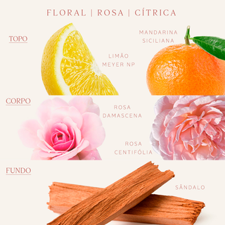 Sabonete Líquido Corporal Rose Citron Meyer 250ml